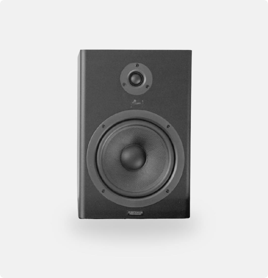 Black speaker with round woofer and tweeter, designed for high-quality audio output, isolated on a white background.