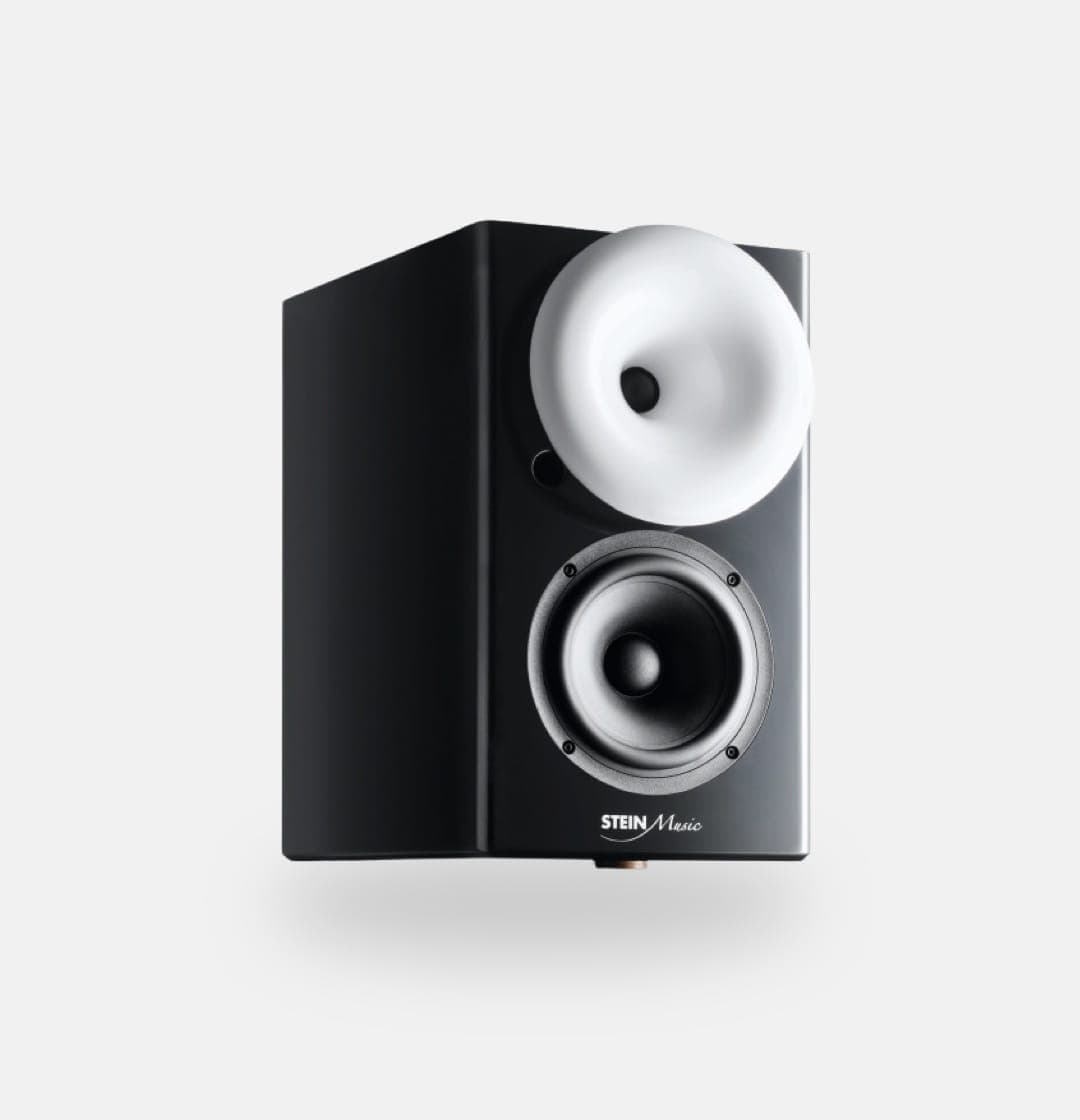 The ZX9 speaker is black with a slightly textured finish. The top woofer has a white ring around the outside. There is a Stein Music logo on the front, below the woofer. The base of the speaker slants inwards slightly.